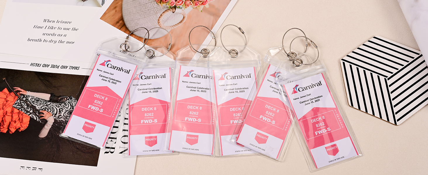 Clean Luggage Tags for princess