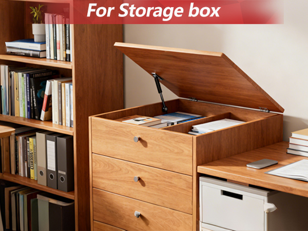 For Storage box