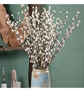 35 Stems 17