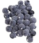 Galepromot 20 Pcs Artificial Blueberries Plastic Fake Blue Berry Plants Realistic Artificial Blue...