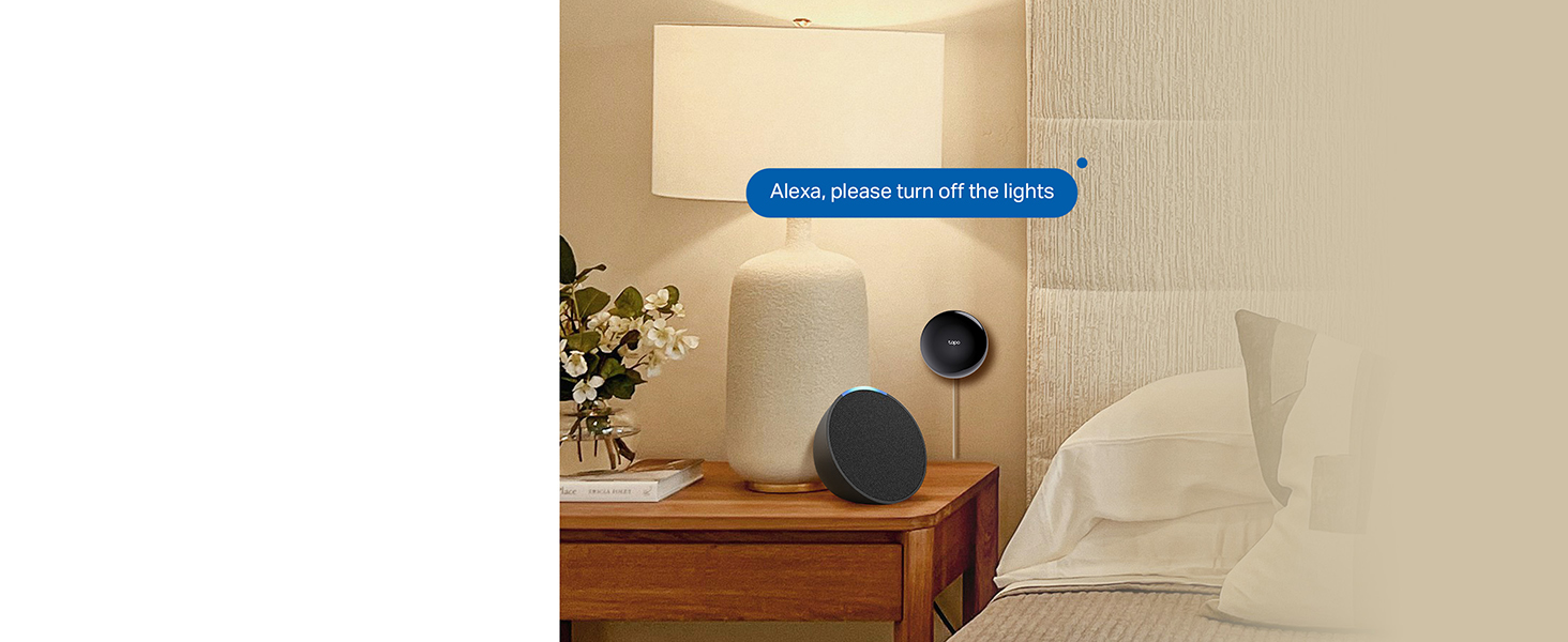 Hands-Free Voice Control