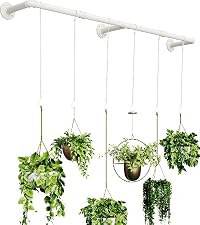 https://m.media-amazon.com/images/S/aplus-media-library-service-media/8ec50875-2b4a-4cdf-9625-696d05321abb.__CR0,0,400,450_PT0_SX200_V1___.jpg