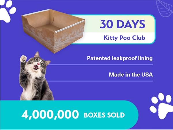 cat litter disposable box leak-proof silica crystal clumping odor control low dust natural plant