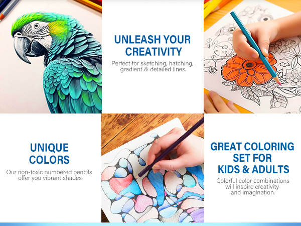 color pencils