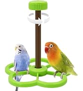 Jevnd Washable Bird Spinning Toy, 360° Rotation Parrot Perch with Anti-Slip Texture, Sturdy Hangi...