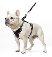 PUPTECK Dog Harness and Leash Set for Small Medium Sized Dogs, No Pull Dog Harness for Walking Tr...