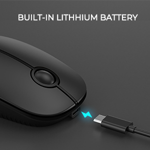 black type C mouse
