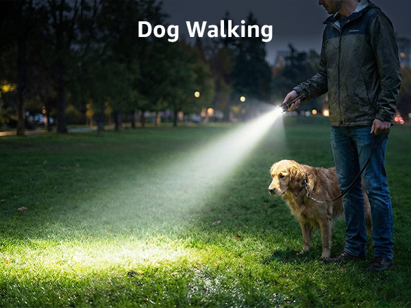 Dog Walking