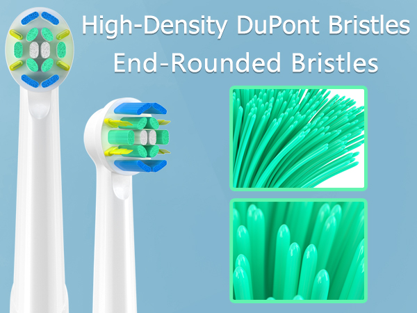 Dupont Bristles