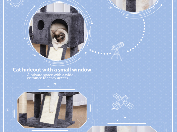 cat scratching posts