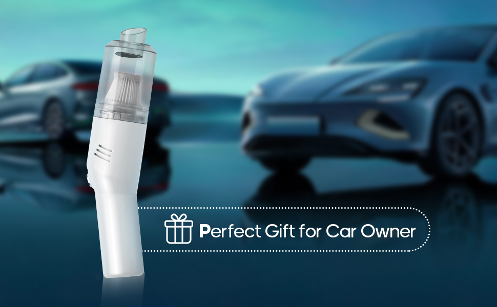 the perfect gift for car owners