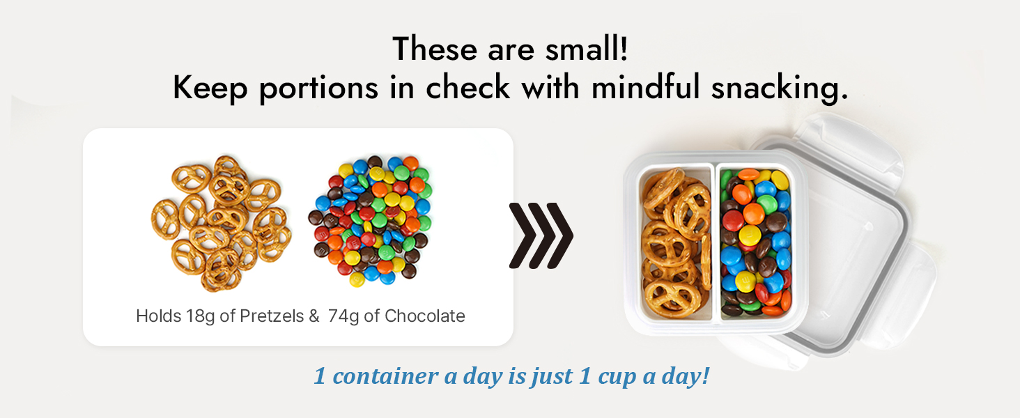 mini snack containers