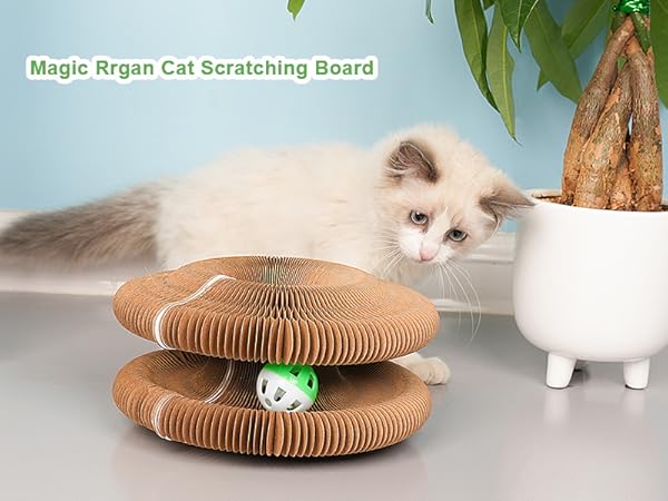 cats toys