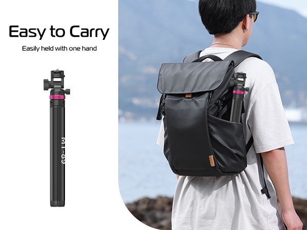 Versatile Compatibility: Equipped with a 1/4" screw, this light stand