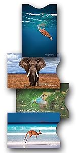 https://m.media-amazon.com/images/S/aplus-media-library-service-media/bec39635-de8b-4512-b211-3d12aee636d8.__CR0,0,1500,3000_PT0_SX150_V1___.jpg