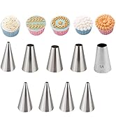 RoseFlower 9 PCS Writing Piping Tips Set - Stainless Steel Piping Nozzles Kit for Pastry Cupcakes...