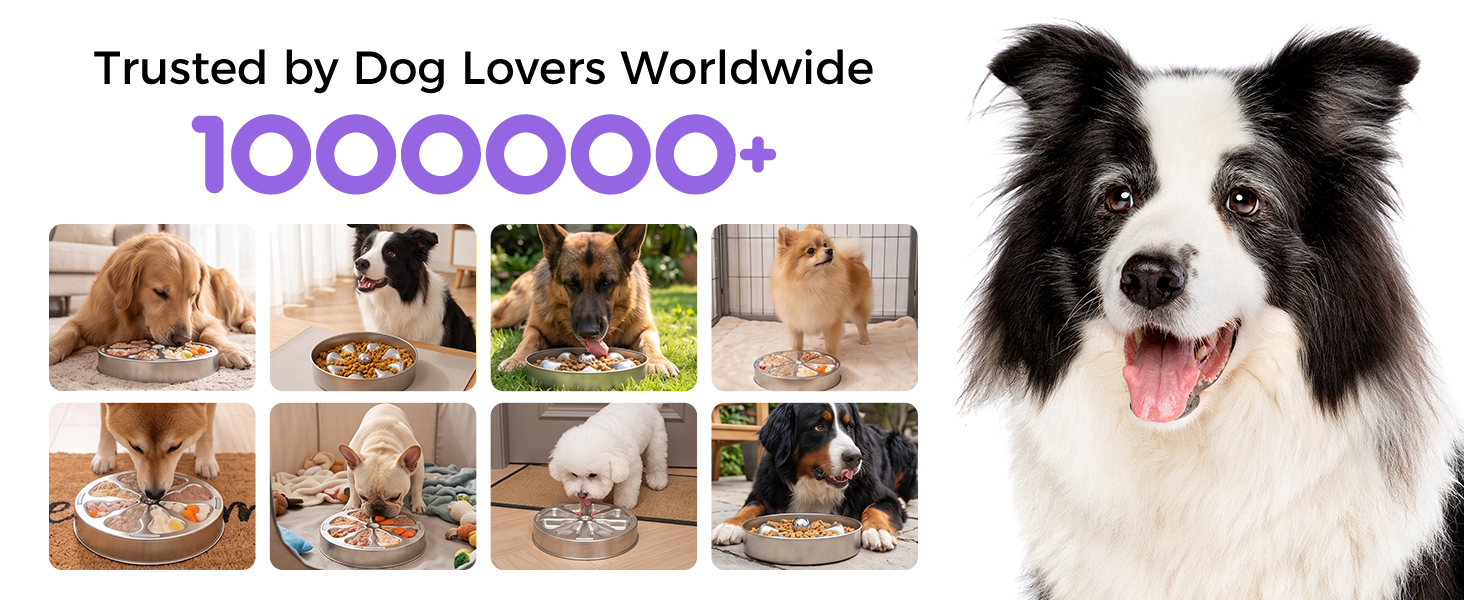 slow feeder dog bowls