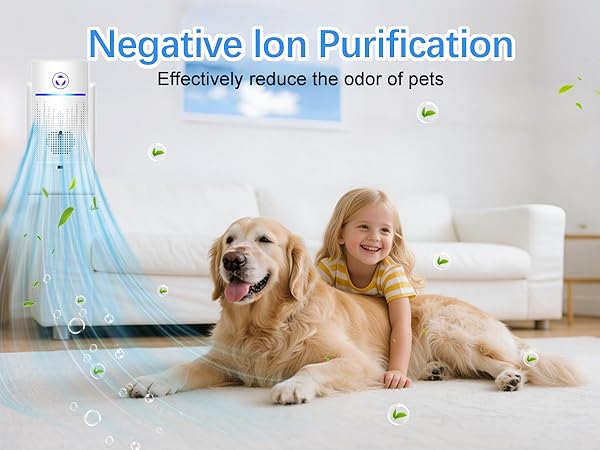 Air Purifiers