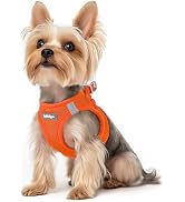 rabbitgoo Small Dog Harness, Step-in Soft Mesh Puppy Vest, Easy Walk with Safety Buckle, Breathab...