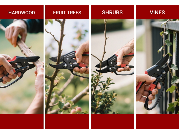 ratchet pruning shear