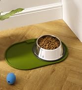 Basics Stainless Steel Dog Bowl, Single
