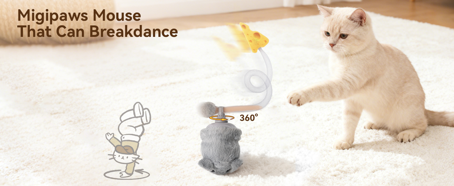 Interactive cat toy, smart cat toy, automatic teaser, electric cat toy, motion sensor