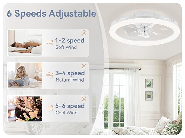 6 speeds adjustable