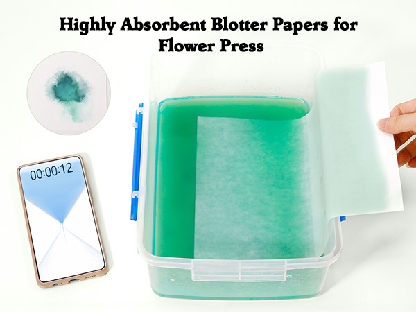 blotter paper