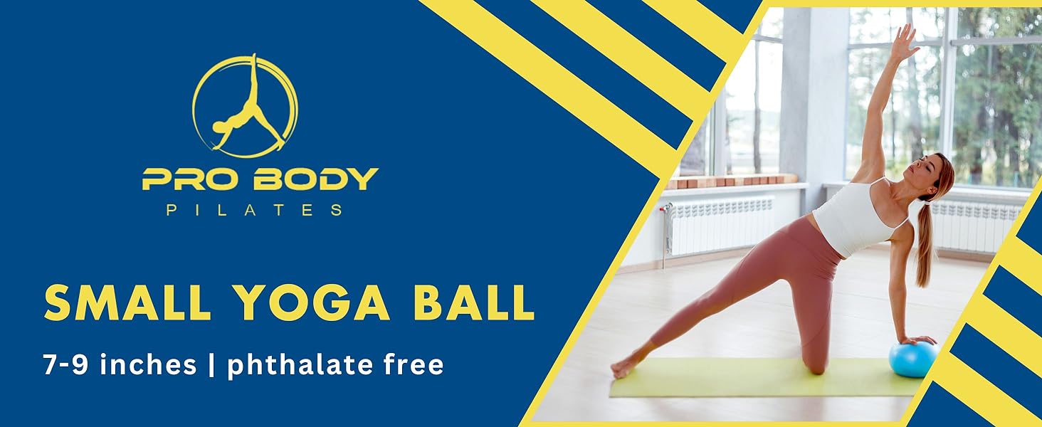 exercise balls accessories exercise ball working out silver sneaker exercise ball pilate ball bag