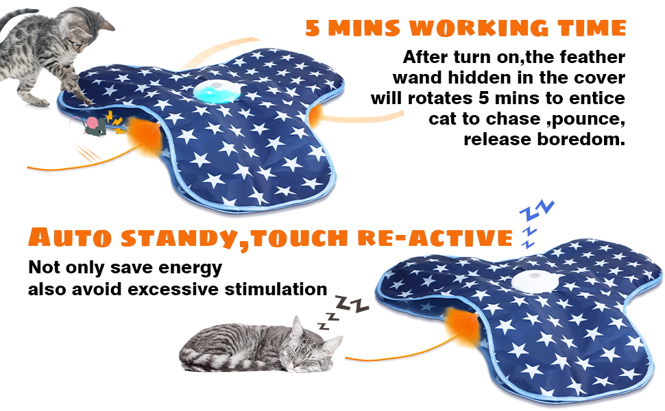 interactive cat toys