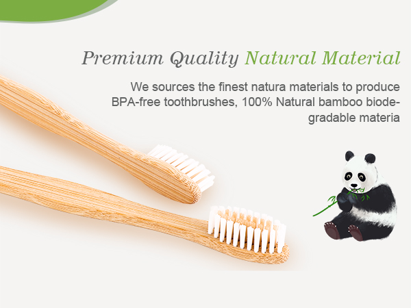 bamboo toothbrush