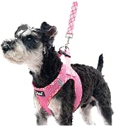 PUPTECK Dog Harness and Leash Set for Small Medium Dogs No Pull Step-in Soft Mesh Puppy Cat Vest ...