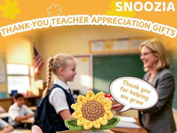 teacher appreciation gifts women teacher gifts