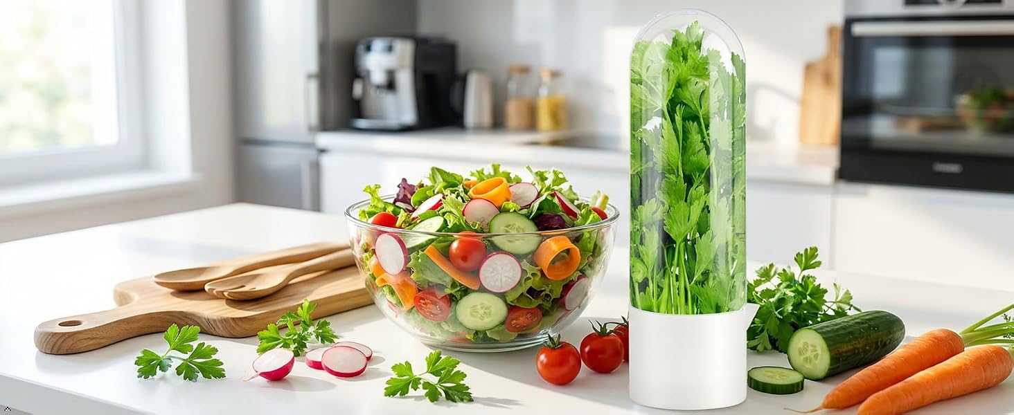 herb containers for refrigerator