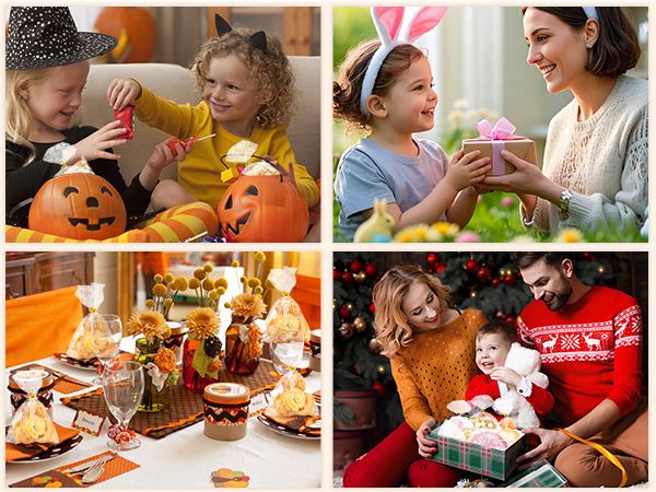 treat bags