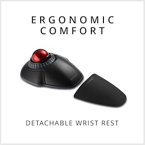 detachable wrist rest