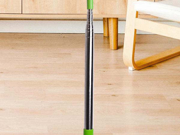 spider web brush with pole