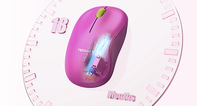 mouse