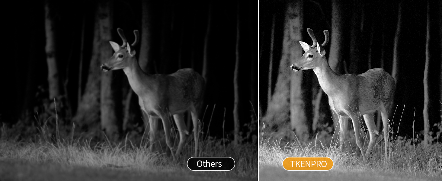 Infrared Night Vision
