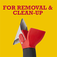 removal and cleanup