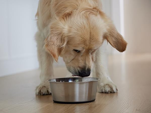Dog bowls, dog water bowl, cat bowls