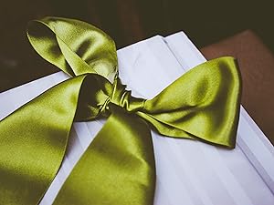 swiss satin ribbon