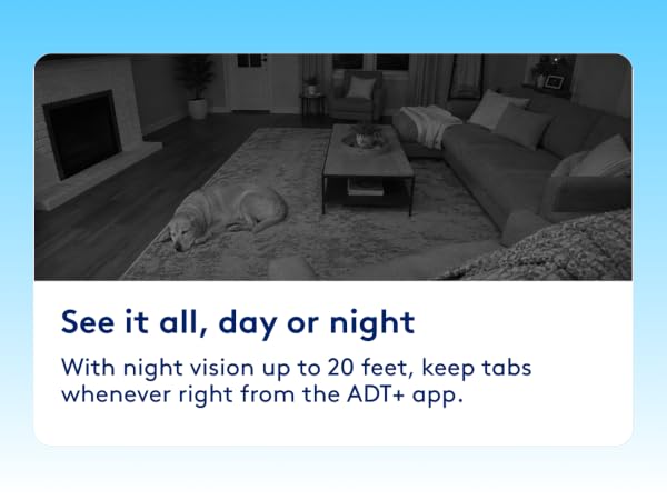 See it all, day or night