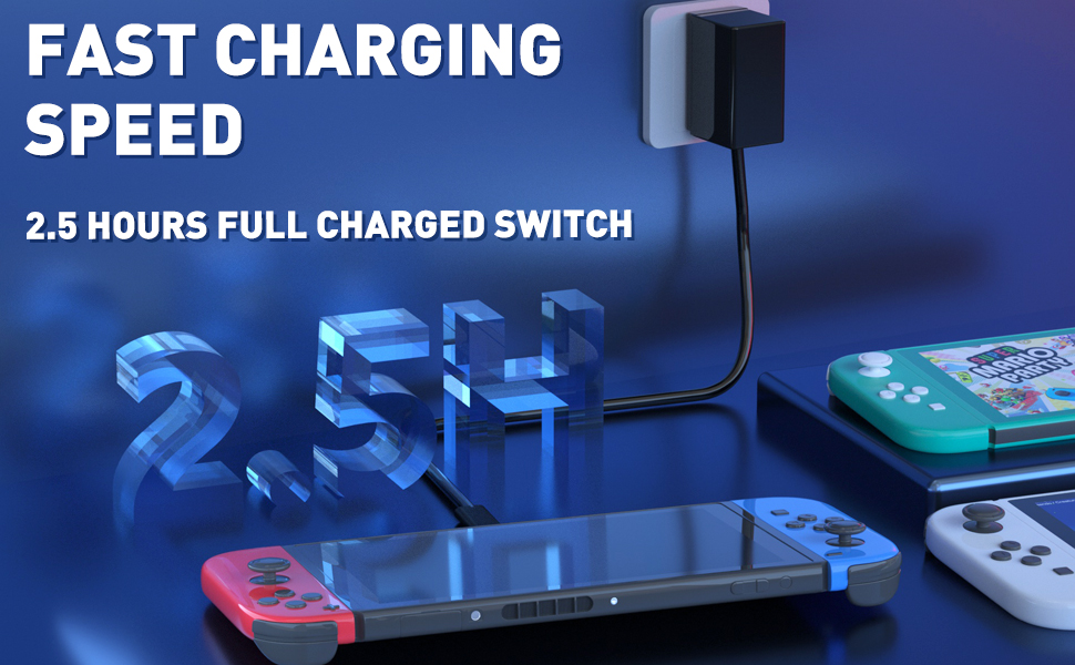 switch charger cable