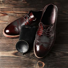 premium shoe polish