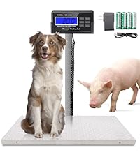 https://m.media-amazon.com/images/I/41TLXgHqpvL.__AC_SR200,225___.jpg