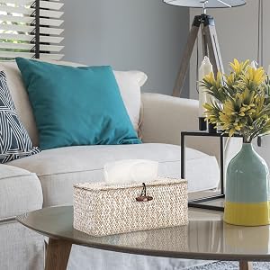 Decorative Tissue Holder for Living Room