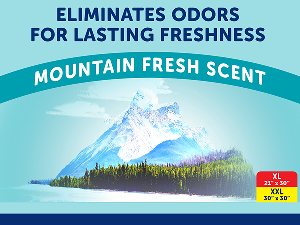 Mountain Fresh Scented Pads