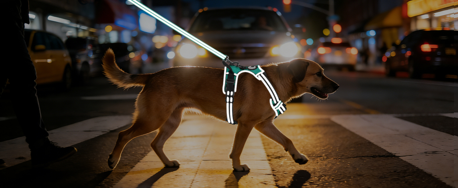 reflective dog harness