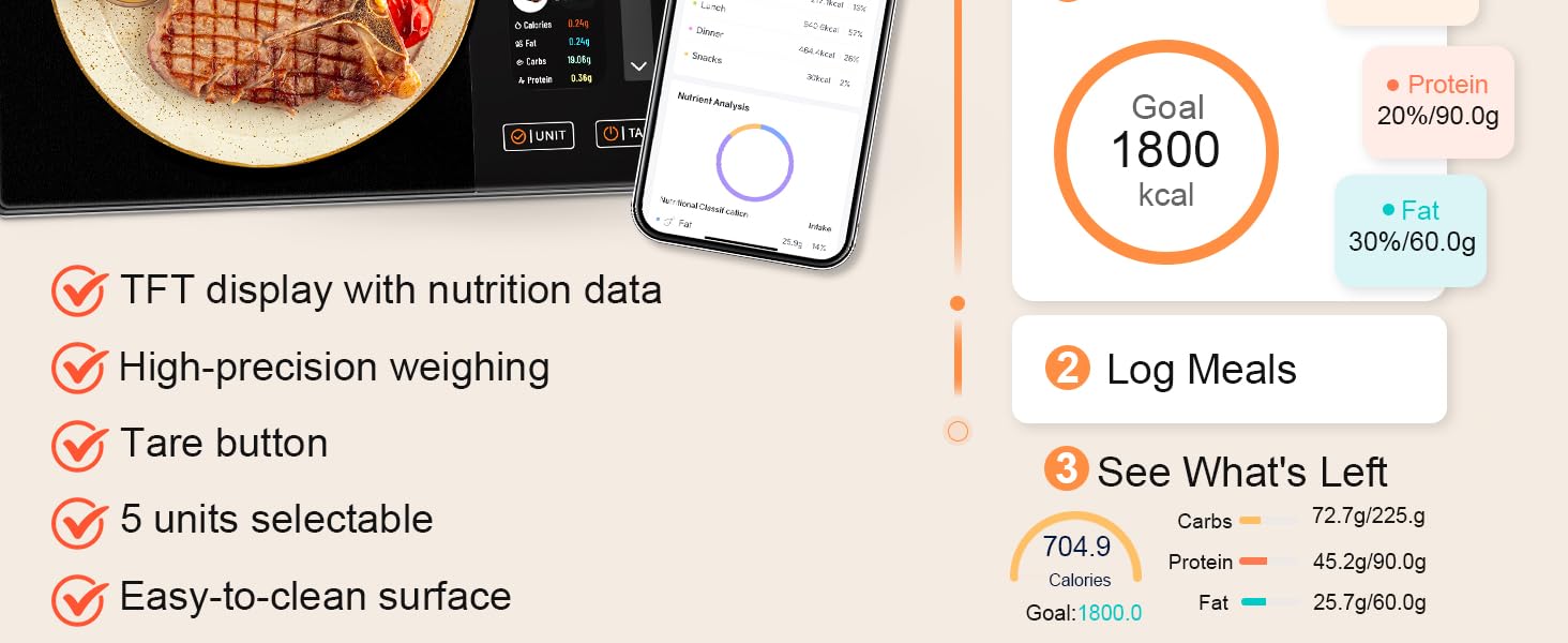 scales digital weight food